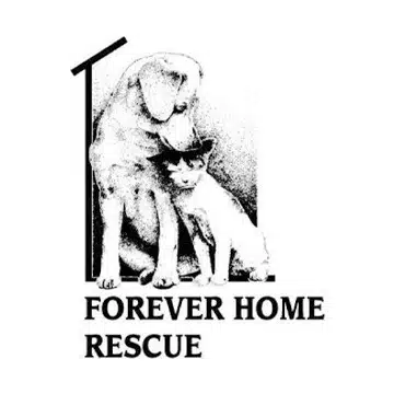 Forever Home Rescue Logo